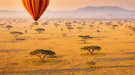 Vue aérienne d'une montgolfière survolant la savane africaine au lever du soleil avec un troupeau d'éléphants en contrebas